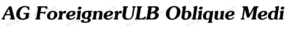 AG ForeignerULB Oblique Medium字体转换